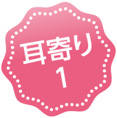 耳寄り1